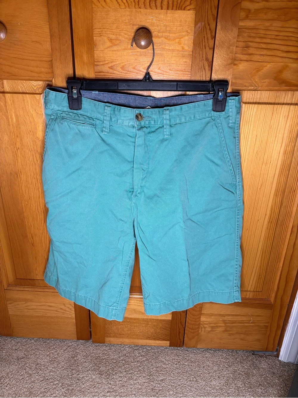 Polo by Ralph Lauren Teal Flat-Front Shorts